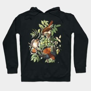 John James Audubons American Sparrow Hawk Hoodie